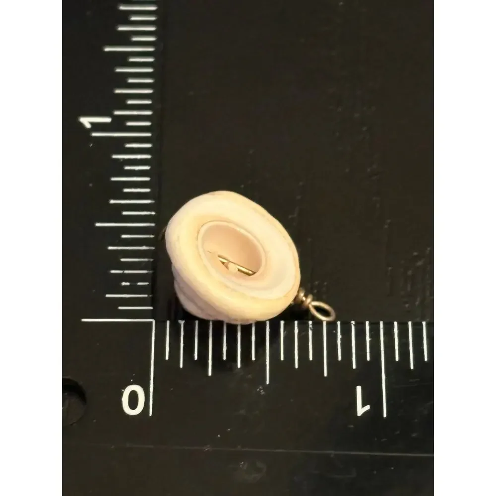 Natural Shiva Shell Spiral Pendant Wire Wrapped